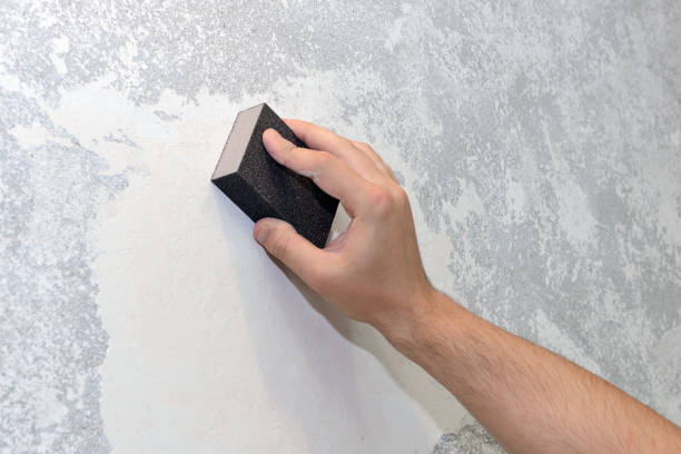 Best Comprehensive Air Testing for Mold Contaminants  in Newton, AL