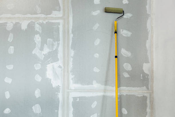 Best Asbestos and Lead Testing During Mold Inspection  in Newton, AL