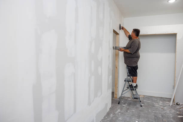 Best Attic Mold Removal  in Newton, AL