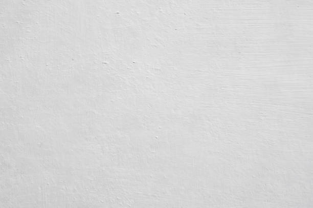Best Black Mold Removal  in Newton, AL